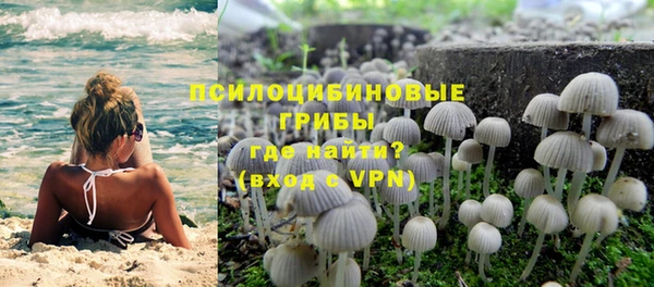 ECSTASY Навашино