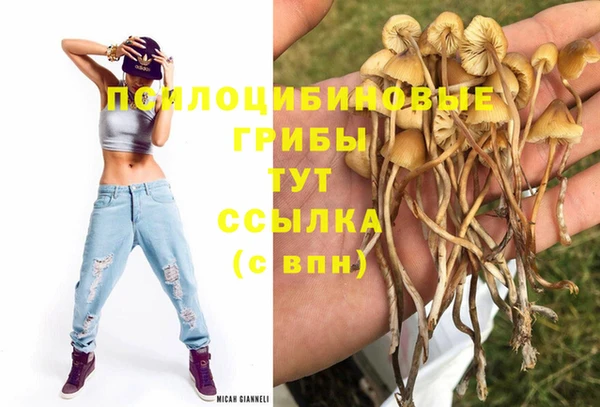 тгк Надым