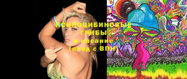 стафф Михайловск