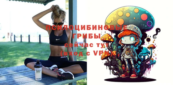 стафф Михайловск