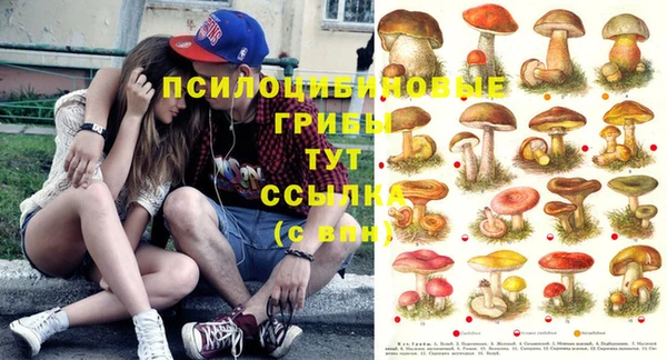 тгк Надым