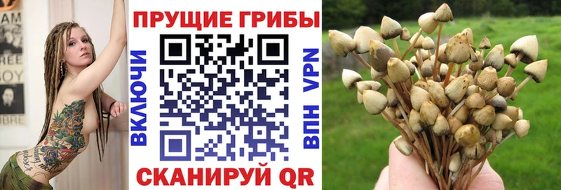 сколько стоит  Старый Крым  mega зеркало  Псилоцибиновые грибы мицелий 